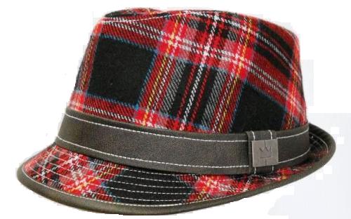 Plaid Fedora